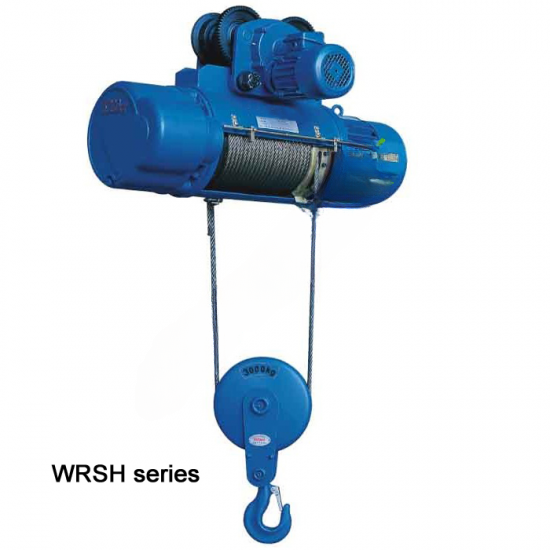 Wire rope hoist and plain trolley
